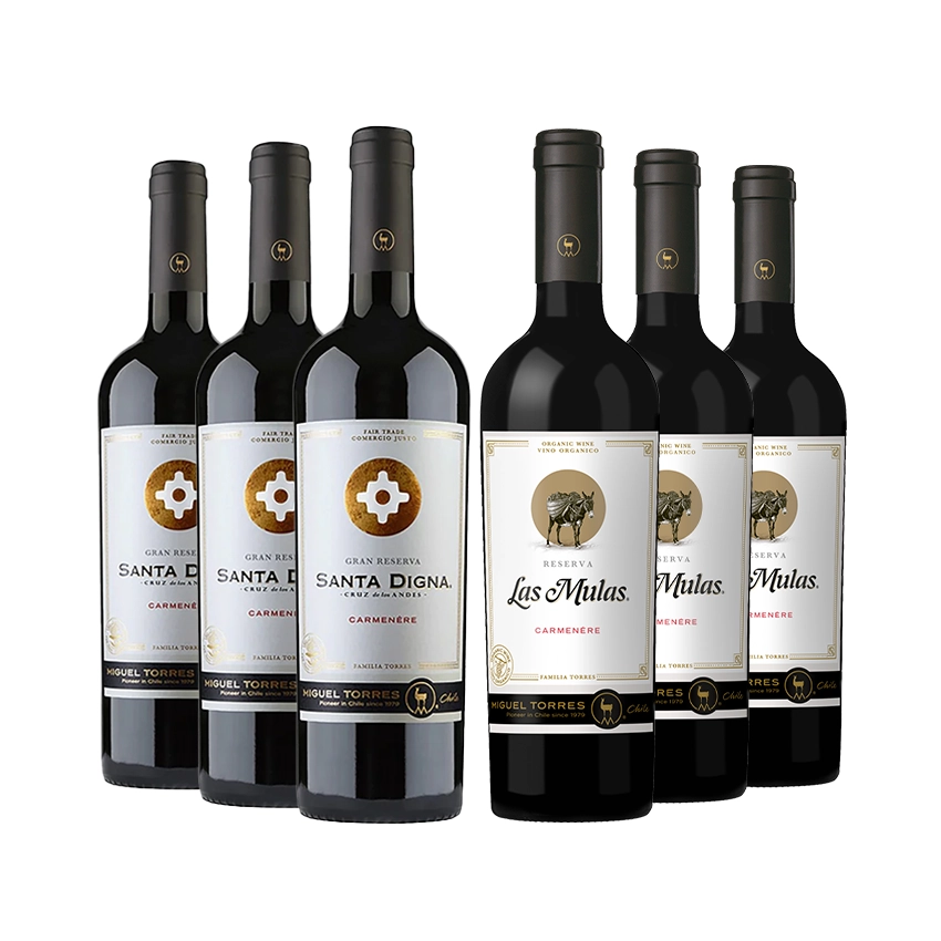 3 Vinos Santa Digna Carmenere 750cc + 3 Vinos Las Mulas Carmenere 750cc