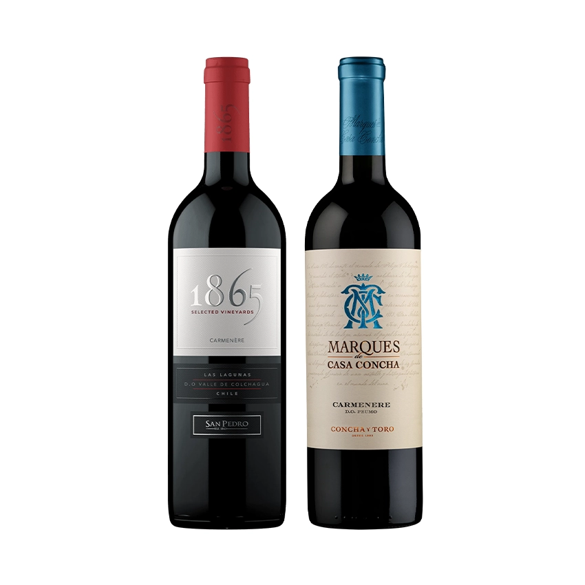 1 Vino Marques de Casa Concha Carmenere 750cc + 1 Vino 1865 Carmenere 750cc