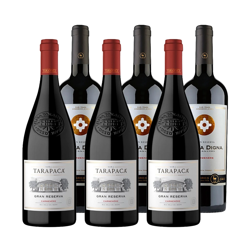 3 Vinos Tarapacá Gran Reserva Carmenere 750cc + 3 Vinos Santa Digna Gran Reserva Carmenere 750cc