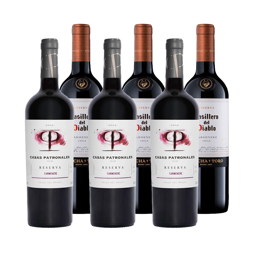 3 Vinos Casas Patronales Reserva Carmenere 750cc + 3 Vinos Casillero Del Diablo Carmenere 750cc