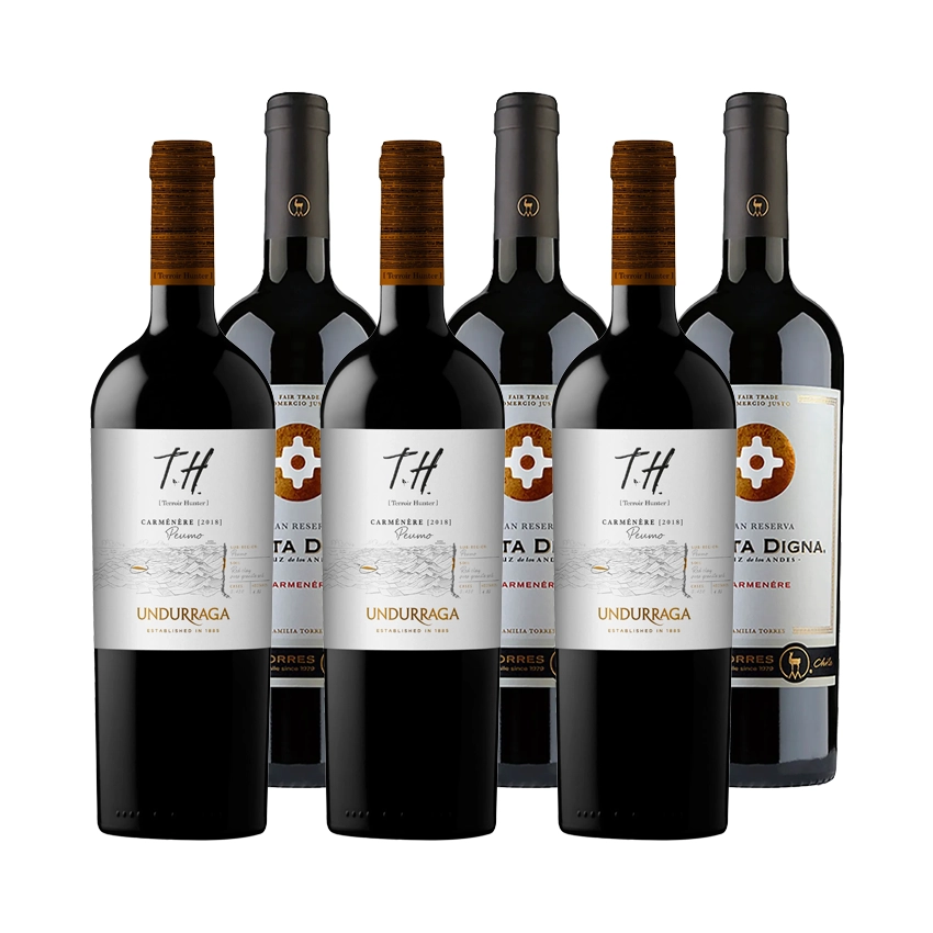 3 Vinos Undurraga TH Carmenere 750cc + 3 Vinos Santa Digna Gran Reserva Carmenere 750cc