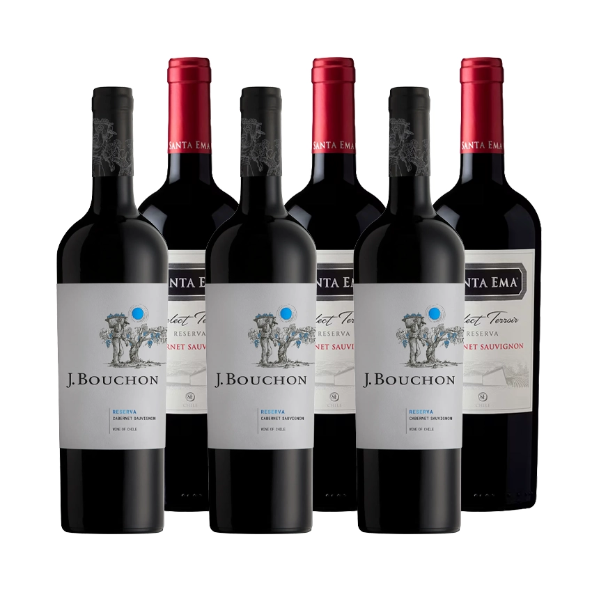 3 Vinos J. Bouchon Reserva Cabernet Sauvignon 750cc + 3 Vinos Santa Ema Select Terroir Cabernet Sauvignon 750CC