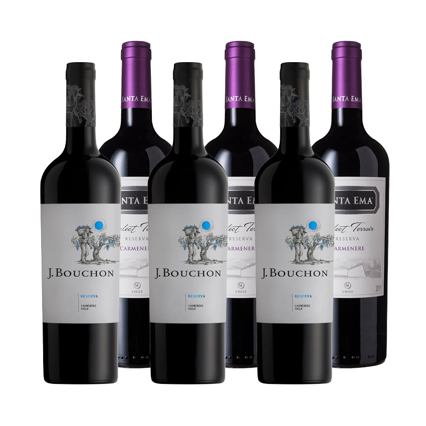 3 Vinos J. Bouchon Reserva Carmenere 750cc + 3 Vinos Santa Ema Select Terroir Carmenere 750CC