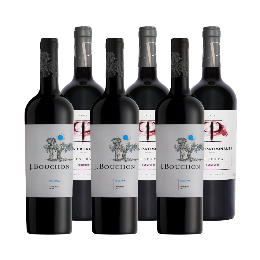 3 Vinos J. Bouchon Reserva Carmenere 750cc + 3 Vinos Casas Patronales Reserva Carmenere 750cc