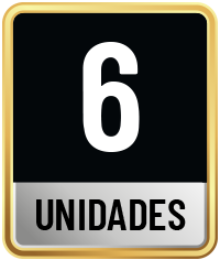 6 Unidades